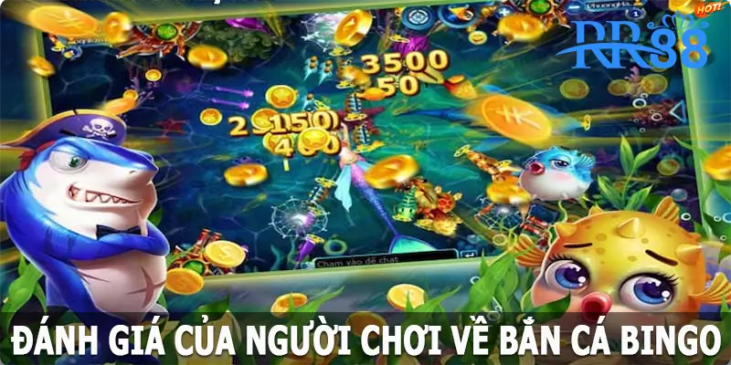 Đánh giá của người chơi về bắn cá Bingo