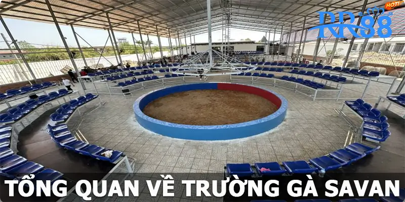 Thông tin quan trọng về trường gà Savan